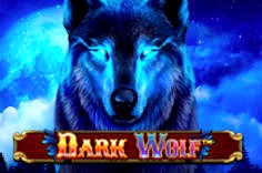 Dark Wolf